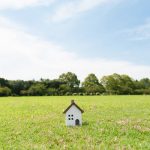 ۲۵۰ متر زمین در قرچک